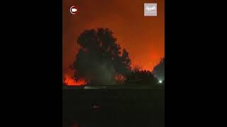 حرائق الغابات تصل إلى محطة للطاقة في تركيا