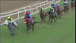 20181125 Greyville Express Clip Race 7 won by CRUZ GIOVANNI