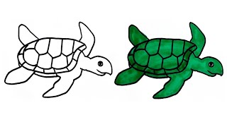 How To Draw Turtle Easy Step By Step For Kids