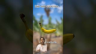 💥 வாழைப்பழம் ஏன் வளஞ்சி இருக்கு 🍌⁉️Why banana is curved