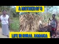 A MOTHER OF 9 LIFE IN RURAL JAMAICA // COUNTRY WOMAN BURNING CORAL/COAL IN RURAL JAMAICA