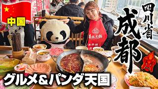 【四川成都】白浜パンダが帰る場所🐼本場の四川料理の食い倒れと三国志の「蜀」世界へ♡