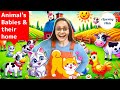 Toddler Learning Animal's Babies And Their Home,Insects Name And More | Baby Learning Videos | 🐾🐝🦋🎉