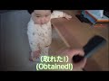 こはるvlog 35 はじめてのつかまり立ち【生後8ヶ月 赤ちゃん】つかまり立ち　standing for the first time