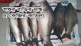 আজ শশুর বাড়ি থেকে বড় বড় মাছ আসছে মাছ  | মাছ পরিস্কার #02