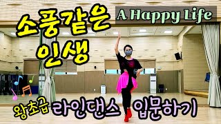 소풍같은인생 A Happy Life / 왕초급, 라인댄스 입문하기 Beginner / KLSF 대한생활체육연합회 SH_Linedance