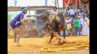 சீறிப்பாய்ந்த சீட்டிக்கொம்பு காளை ¦¦ காளையார்கோவில் வடம் ¦¦ kalaiyarkovil vadam