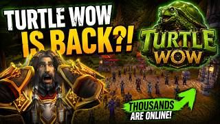 Turtle Wow Is Back