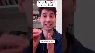 What is a DNA mutation?