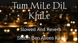 Tum MiLe DiL KhiLe Slowed And Reverb  FuLL Song ||LoFi Suraj||