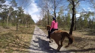 Riding with my Freemax Western saddle