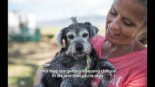 Discover the heartwarming joy of adopting a #seniorpet ❤️🐾