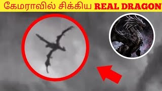 கேமராவில் சிக்கிய அழிந்து போன உயிரினங்கள் | already died animals caught on camera |