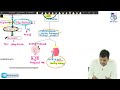 Remarkable Rapid Revision Biochemistry By Dr Priyansh Jain  FMGE and Neet Pg