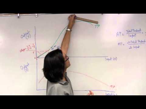 What are the three stages of production function?