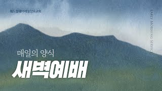 새벽예배 | 나는 당신들이 애굽에 판 자라 (창 45:1-5) 02.12.25 - 이민규 담임목사