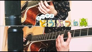 【アコギ】おいでよ どうぶつの森「午前2時」BGM 弾いてみた　Animal Crossing AM2:00