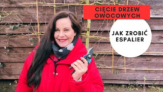 Jak przycinać drzewa owocowe espalier. Jak uformować espalier krok po kroku. Jak zrobić szpaler!