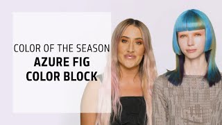 Azure Fig Color Block Tutorial | Goldwell Color of the Season | Goldwell Education Plus