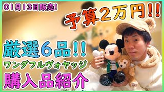 ダッフィーのワンダフルヴォヤッジのグッズの購入品紹介【東京ディズニーシー】