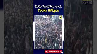 మీరు సింహాలు కాదు గుంట నక్కలు | Pawan Kalyan | Chandhrababu | Ap Politics | @swatantralive