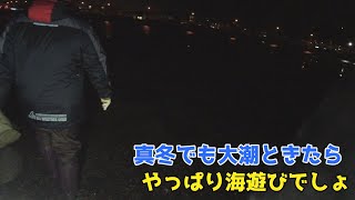 真冬でも大潮ときたらやっぱり海遊びでしょ