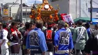 正ノ木祭～神輿渡御～稲積神社　２０１３．５．３ （ＮＯ．１６）