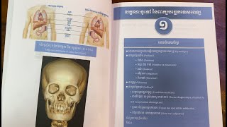 មាតិកាមេរៀនទី១៖ លក្ខណៈទូទៅនៃពាក្យបច្ចេកទេសពេទ្យ៖ ពាក្យបន្ថែមដើម (Préfixe) - ភាគ១