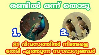 21 ദിവസത്തിൽ ഈ ഞെട്ടിക്കുന്ന കാര്യങ്ങൾ സംഭവിക്കും.. Thodukuri shastram. തൊടുകുറി