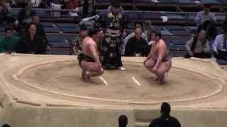 【優勝止めた】 白鵬 vs 照ノ富士 2015大相撲三月場所13日目 Hakuho vs Terunofuji SUMO