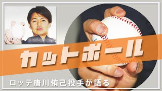 ロッテ唐川侑己投手に聞いた「カットボールの投げ方」【日刊スポーツ】