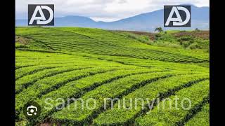 lagu kerinci Samo munyinto lagu kerinci lama lagu kerinci lamo lagu kerinci baru