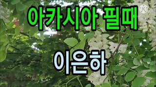 아카시아 필때 가사 / 이은하