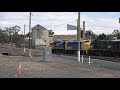 4k the grainlander train victoria s overnight passenger train