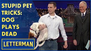 Stupid Pet Tricks: Dog Plays Dead | Letterman