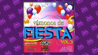 Vámonos de Fiesta Vol.3 - Popurrí Rigo Tovar (Audio Oficial)