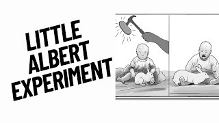 The Little Albert Experiment Explained