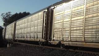 BNSF 3779 and the RICBAR 18feb20