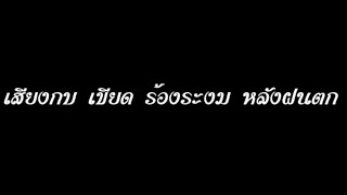 เสียงกบ เขียด ร้อง หลังฝนตก ตอนกลางคืน ฟังแล้วหลับสบาย ใน 5 นาที