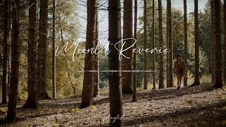 Tranquility in Nature: Acoustic Melodies for a Peaceful Journey | Acoustic Playlist