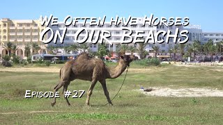 Episode #27 Life in Port Yasmine - Tunisia