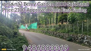 (SOLD)Yercaud ( ஏற்காடு) Berry Garden Layout 3000 Sqft Land Sales Price 2100 Per Sqft