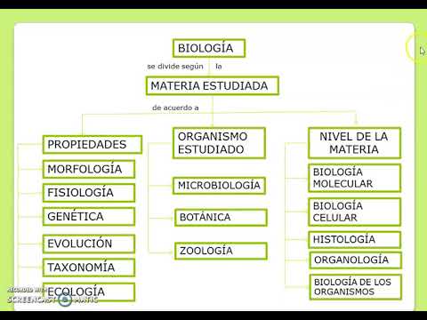 RAMAS DE LA BIOLOGÍA - YouTube