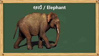 Animals in Kannada |  Animal name sound in Kannada and English