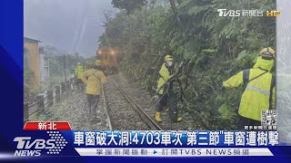 路樹倒塌!平溪線列車遭擊中 車廂玻璃全碎｜TVBS新聞