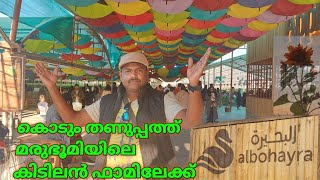 കൊടും തണുപ്പത്ത്‌ മരുഭൂമിയിലെ കിടിലൻ ഫാമിലേക്ക് | Vlog 5 | Malayalam | BackPackers Journal