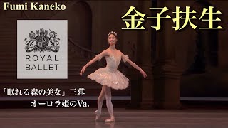 【ロイヤルバレエ】金子扶生さんによる華麗なオーロラ姫のVa. を解説。　#ballet #バレエ #ダンス