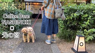 【京都犬と行けるcafe】梨木神社にできたカフェに行ってきました。夜は神社で行われたイベント光の宮に行きました。