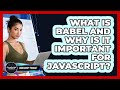 What Is Babel And Why Is It Important For JavaScript? - JavaScript Toolkit