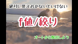 『f値/絞り』カメラ初心者から脱却！マニュアル撮影で絶対必要な基礎知識【クローバーピック】